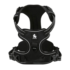 PetsUp 3M Reflective Mesh Padded...