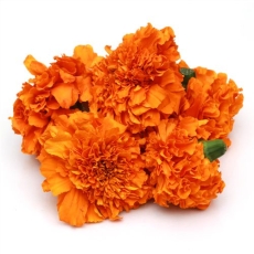 Fresho Marigold Flower